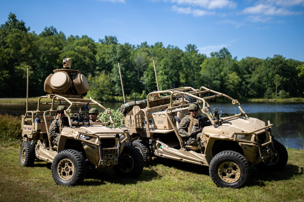 Light Marine Air Defense Integrated System (LMADIS).